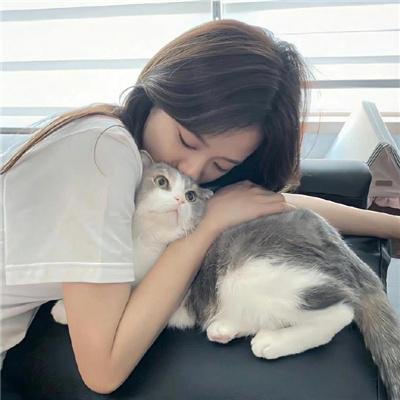 奇犬良缘